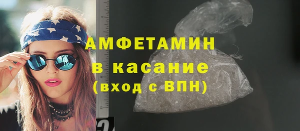твердый Инсар