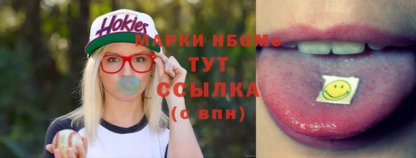 твердый Инсар