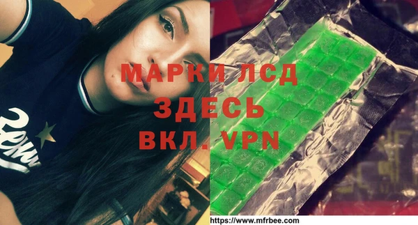твердый Инсар