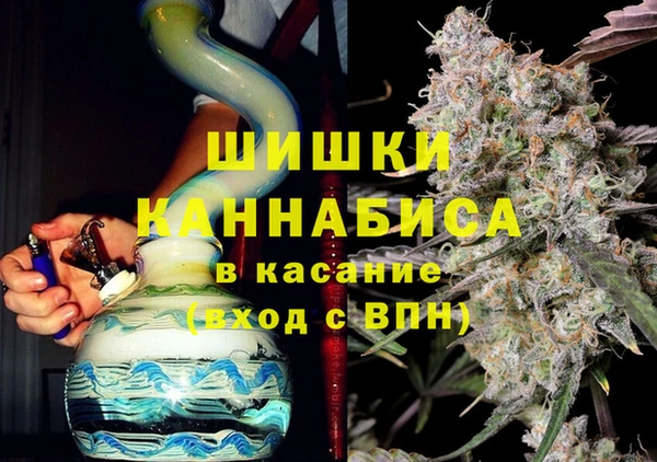 твердый Инсар