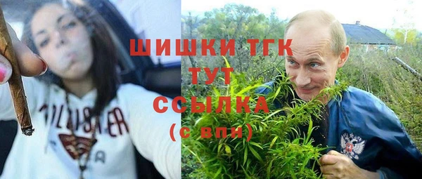 мяу мяу мука Зерноград