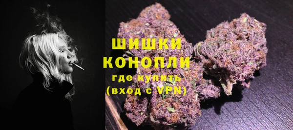 твердый Инсар