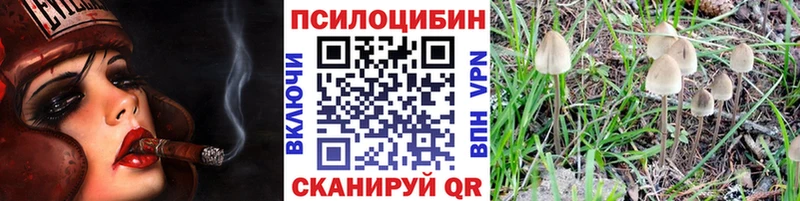 Галлюциногенные грибы Magic Shrooms  Купить  Невинномысск 